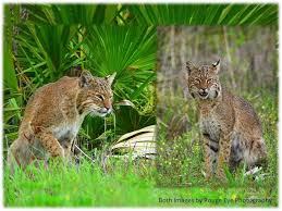 Check spelling or type a new query. Facebook