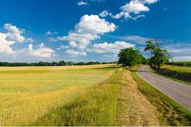 Результат пошуку зображень за запитом картинки земельні відносини