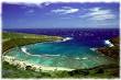Best Oahu Snorkeling -