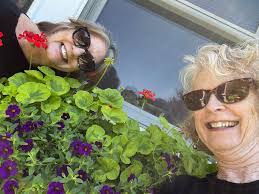 Diane Papp's Instagram, Twitter & Facebook