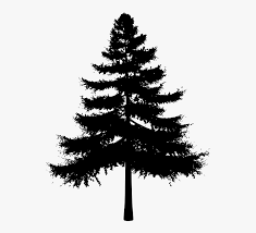 Brushes are repeatable, monochrome shapes that can be painted onto any image file. Photoshop Brush Tree Free Hd Png Download Kindpng
