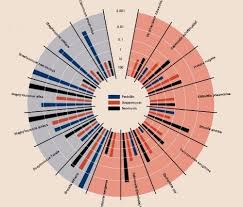 20 Convenient Online Graph Creator Programs Data