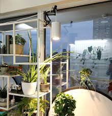 Grow Lights Part 1 A Few Grow Lights I Ve Used Big Indoor Plants Grow Lights Growing Plants Indoors
