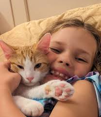 Paws and Claws Cat Rescue