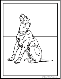 A happy dog in its wooden house. 35 Dog Coloring Pages Breeds Bones And Dog Houses