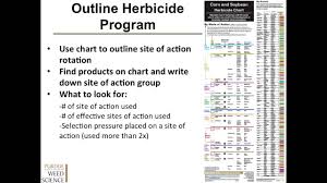 13 Timeless Weed Herbicide Chart