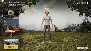 Pubg Lite New Update For Pc Download In Parts