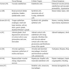 Filovirus particles form long, sometimes branched, filaments of varying shapes, as well as shorter filaments, and may measure up to 14,000 nanometers in length with a diameter of 80 nanometers. Classification Of Ebola Virus Download Scientific Diagram