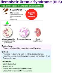 Pin By Andrea Walker On Medical Info Hemolytic Uremic Syndrome Pediatric Nursing Hematology
