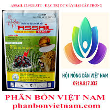 Assail 12.5GB