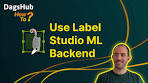 Automate the labelling process with Label Studio and DagsHub