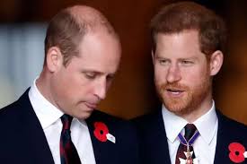 William and Harry will 'never reconcile' because the monarchy needs 'truth  and loyalty'