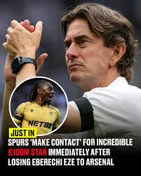 Tottenham Hotspur Transfer Discussions and Player Needs