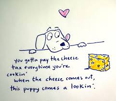 Donna Tocci (@donna_tocci)