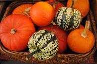 Image result for what foods grow in america