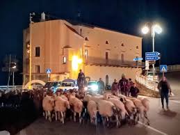 La transumanza nella notte in Costiera Amalfitana: 300 animali in cammino da  Erchie ad Agerola https://www.positanonews.it/2026/06/transumanza-notte- costiera-amalfitana-300-animali-erchie-agerola/3840008/?utm_source=dlvr.it&utm_medium=instagrambusiness  ...