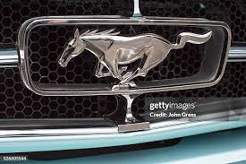 Image result for Skylight Blue 1964 Mustang