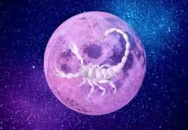 Like, if it was socially acceptable to hang on the sidewalk and hug everyone in sight, you'd do it. Full Moon In Scorpio Alerta Cambios Ahead Belatina