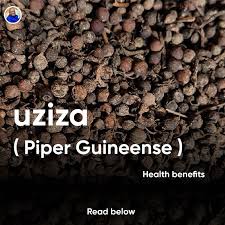 Image result for Piper guineense