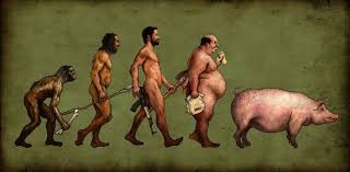 Image result for FROM MAN TO MONKEY EVOLUTION