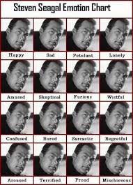Steven Seagal Emotion Chart Puns And Funnies Funny