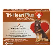 Common questions on ivermectin for dogs. The Best Heartworm Prevention And Treatment For Dogs