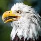 Black Point Park Birding — Tropical Audubon Society event image