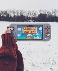 stardew valley nintendo switch lite nintendo switch games nintendo lite nintendo switch accessories