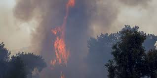 2 hours ago · в турции лесные пожары добрались до зон отдыха туристов и отелей — видео 21:11; K3sry6pxscsbqm