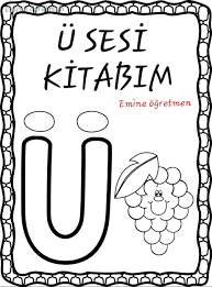 Emine Ogretmen Egitim Okuma Kitap