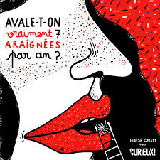 Avale T On Vraiment 7 Araignees Par An Psychedelique Avaler Araignee