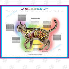 Animal Chakra Pendulum Charts Dog Cat Or Horse