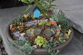 Fairy Garden By Kstarick Plants Sedum Tiny Blue Tokyo Sun And Japanese Golden Desert Bonsai African Miniature Garden Fairy Garden Miniature Fairy Gardens
