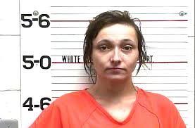 Sparta men arrested in undercover operation aimed at human trafficking