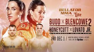 Expect unbelievable scenes and maximum carnage from bellator's most outrageous fight endings! Bellator 189 Plus Heavyweight Tournament Opening Odds Mmaoddsbreaker