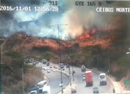 ✓ ¡planifica y ahorra ya! Atencion A Incendio Forestal En Guayaquil Fue Coordinada Desde Ecu 911 Samborondon Servicio Integrado De Seguridad Ecu 911