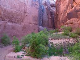 Buckskin gulch and the paria canyon are located in the vermillion cliffs wilderness area of southern utah. Paria Canyon Overnight Permits Paria Canyon Vermilion Cliffs Wilderness Coyote Buttes North The Wave Coyote Buttes South And Paria Canyon Overnight Recreation Gov