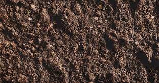 Check spelling or type a new query. Acidic Soil What It Means And How To Deal With It