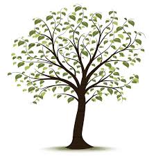 See clipart tree stock video clips. Png Clipart Clip Art Of Budding Tree