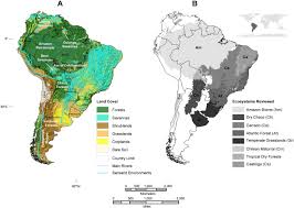 May 31, 2021 · we have allocated points to each yellow (1 point) and red card (3 points) for ranking purposes. Land Use And Land Cover Change Impacts On The Regional Climate Of Non Amazonian South America A Review Sciencedirect