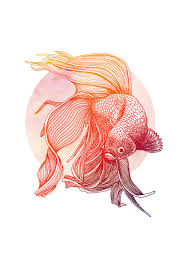 Red Siamese Fighting Fish Print Betta Illustration In Red Etsy Beta Fish Drawing Fish Illustration Watercolor Fish
