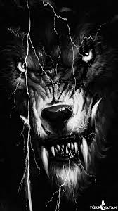 Https Encrypted Tbn0 Gstatic Com Images Q Tbn And9gct Weqxmsn0blee9liomlpoctkfrfuqts3c1g Usqp Cau