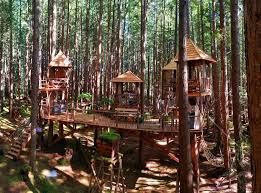 Tree House Masters Gorgeous Tree House Ewok Village Movie Theater 640 x 426 jpeg 83 кб. tree house masters gorgeous tree house