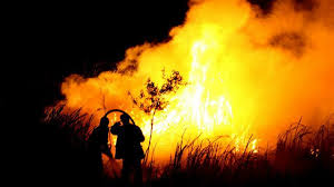 Maybe you would like to learn more about one of these? Dapatkah Kebakaran Hutan Di Indonesia Diakhiri Bbc News Indonesia