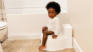 نتیجه جستجوی لغت [potty] در گوگل