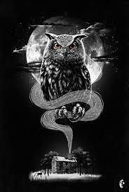 Night Hunter Photo By Dzeri29 Photobucket Owl Tattoo Drawings Owl Artwork Owls Drawing