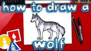 How to draw a realistic wolf. How To Draw A Realistic Wolf Youtube