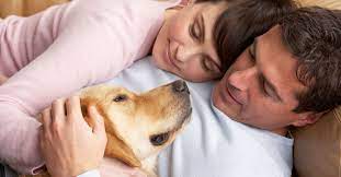 This is one of the most stressful times in your unique relationship with your pet. In Home Hospice Care Pet Euthanasia Services Mobile Vet To Pet Service
