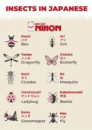 No copyright infringement intendedi don't own any of thisall rights belong to 防弾少年団 japan official, big hit entertainment, b.t.s, and anyone that was involv. Insects In Japanese Japanese Language Learning Learn Japanese Words Japanese Language Lessons