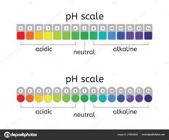 Yellow Litmus Paper Color Chart Vector Scale Acidic